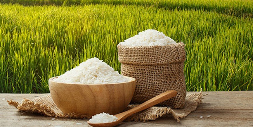 Rice  ( চাল )